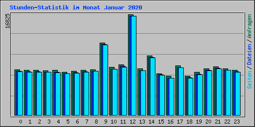Stunden-Statistik im Monat Januar 2020