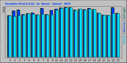 Stunden-Statistik im Monat Januar 2023