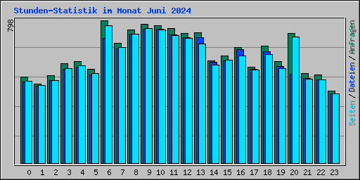 Stunden-Statistik im Monat Juni 2024