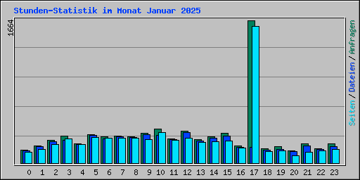 Stunden-Statistik im Monat Januar 2025