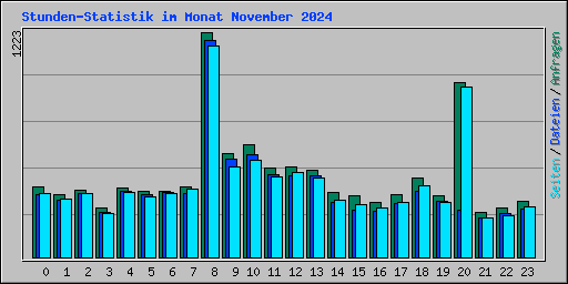 Stunden-Statistik im Monat November 2024