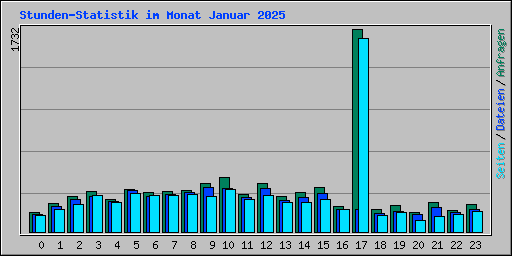 Stunden-Statistik im Monat Januar 2025